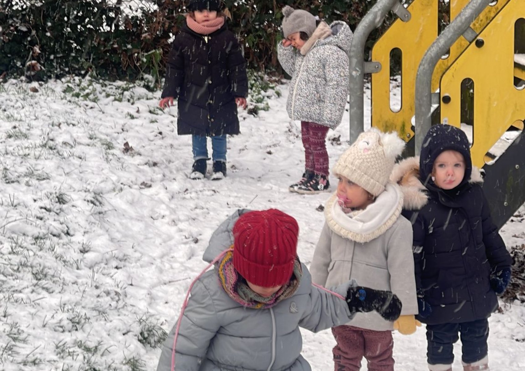 whatsapp image 2026-01-16 at 22.46.50 4